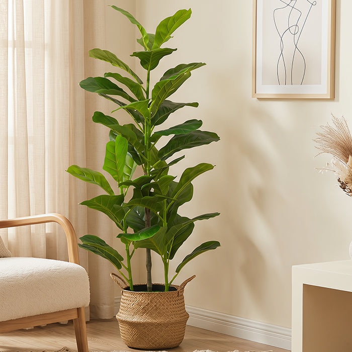 <h2>Bring Nature Home</h2>