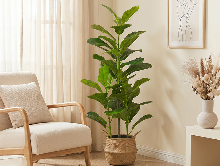 <h2>Bring Nature Home</h2>