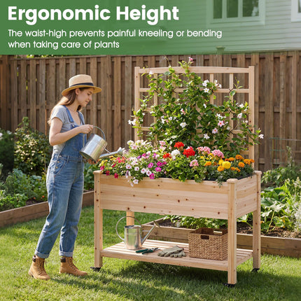 Dreamade 65'' Wooden Raised Garden Bed w/Trellis on Wheels ( 1/2 )