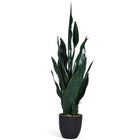 Artificial Snake Plant, 36