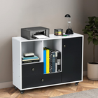 Dreamade Lateral File Cabinet 2 Drawer Printer Stand, Rolling Storage Office Cabinet with Lockable Wheels