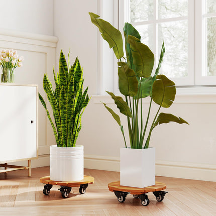 Dreamade 2 Pcs and 4 Pcs Plant Caddy with Wheels with 360° Lockable Casters