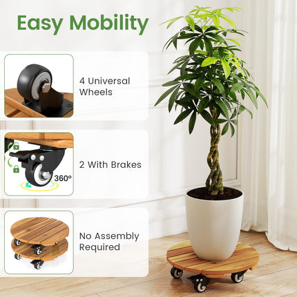 Dreamade 2 Pcs and 4 Pcs Plant Caddy with Wheels with 360° Lockable Casters