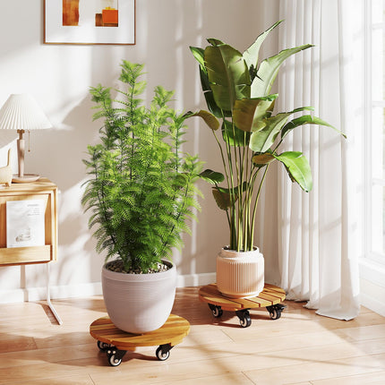 Dreamade 2 Pcs and 4 Pcs Plant Caddy with Wheels with 360° Lockable Casters