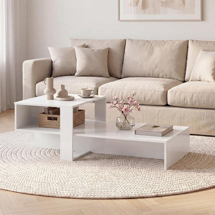 Dreamade 2-Tier Coffee Table | Modern Irregular Center Table with Open Storage Shelf