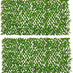 Green Eucalyptus / 2