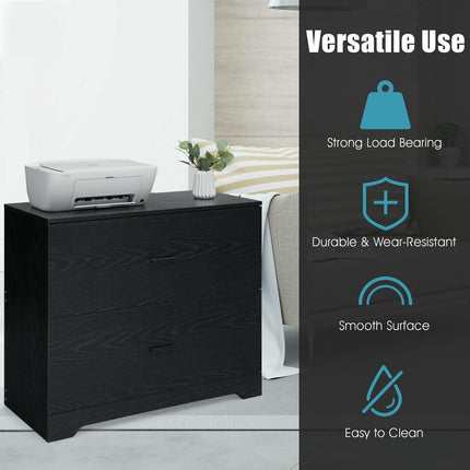 Dreamade 2-Drawer Lateral File Cabinet Printer Stand