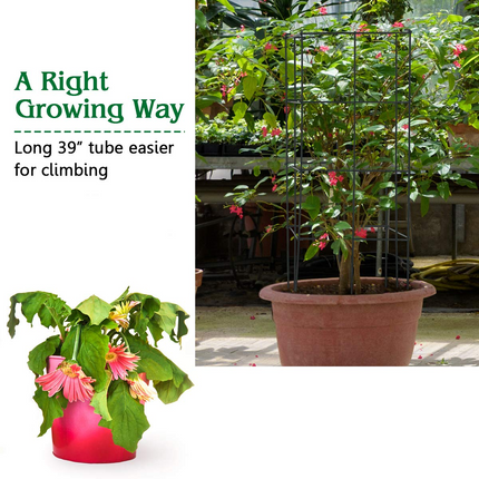 Dreamade Pack of 4 Plant Cage Support, Tomato Stakes and Cages (16''Lx 16''Wx 39''H (4 Pieces))