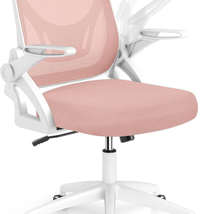 Dreamade Ergonomic Desk Chair with Flip-up Arms & Lumbar Support