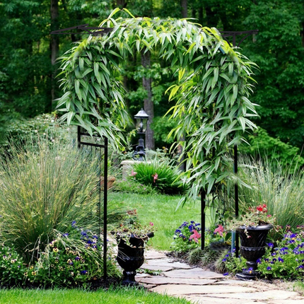 Dreamade Metal Garden Arch, Wedding Arbor for Ceremony, Pergola Arbor Garden Trellis for Various Climbing Plant
