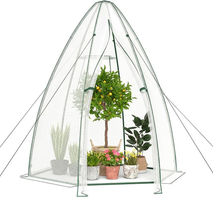 Dreamade Portable Walk-in Greenhouse - 5.5’x5.5’x6’ PE Cover, Roll-up Zippered Door, Window