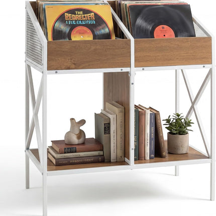 Dreamade 2-Tier Record Player Stand, Vinyl Record Storage | 250 LP Albums Display Shelf