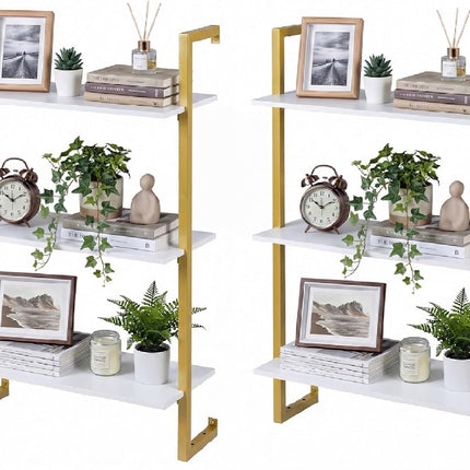 Dreamade 3-Tier Modern Floating Wall-Mounted Bookshelf with Metal Frame (1/2)
