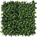 Gardenia Leaves