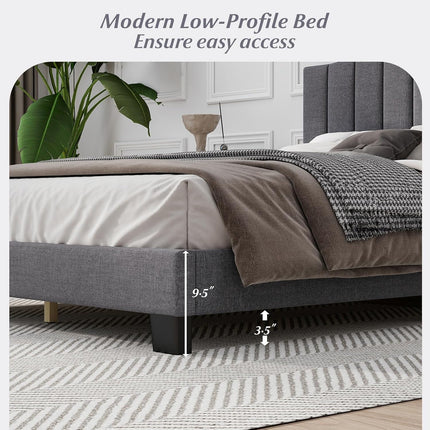 Dreamade Queen Bed Framewith Adjustable Arch Tufted Headboard Mattress Foundation