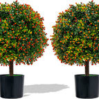 Boxwood Topiary Ball Tree