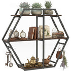 Dreamade Industrial Hexagon Wall Shelf with 3-Tier Storage Shelves & 4 Hooks | Decorative Wall Display Rack Unit with Metal Frame