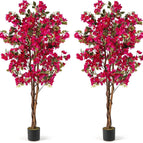2 / Rose Red