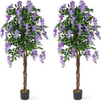 Purple / 2 pack