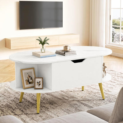Dreamade Lift Top Coffee Table with Storage, 39.5" Faux Marble Center Table