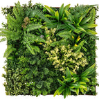 Green Ferns