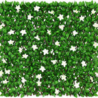 1 / Green Leaves & White Flowers
