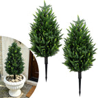 Cypress