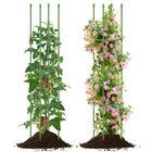Dreamade 2-Pack Tomato Cages