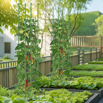 Dreamade 2-Pack Tomato Cages