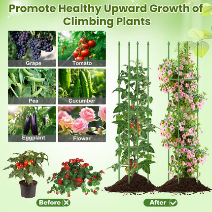 Dreamade 2-Pack Tomato Cages