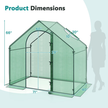Dreamade 6x3x5.5 FT Mini Walk-in Greenhouse, with Roll-up Zippered Door & Window, Overlong PE Cover