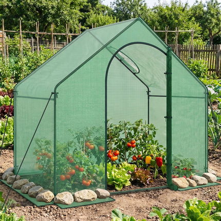 Dreamade 6x3x5.5 FT Mini Walk-in Greenhouse, with Roll-up Zippered Door & Window, Overlong PE Cover