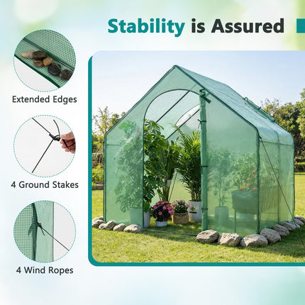 Dreamade 6x3x5.5 FT Mini Walk-in Greenhouse, with Roll-up Zippered Door & Window, Overlong PE Cover