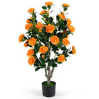 Orange / 1