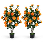 Orange / 2