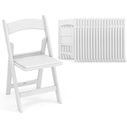 Dreamade Folding Chairs with Padded Seat, All-Weather Resin Frame