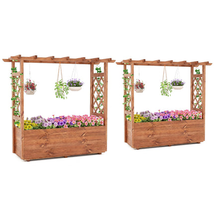 Dreamade Raised Garden Bed with Sided Trellis and Hanging Roof