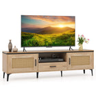 Dreamade TV Stand for TV up to 65 Inches, Entertainment Center with 2 Cabinets