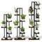 Growing & Planting