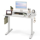 Dreamade Electric Standing Desk with 2 Drawers, 48