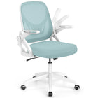Dreamade Ergonomic Desk Chair with Flip-up Arms & Lumbar Support