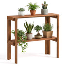Dreamade 2-Tier Solid Wood Foldable Plant Shelf
