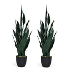 Green / 2 pack