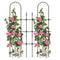 Garden Trellis