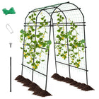 Garden Arch Trellis for Climbing Plants - Dreamade