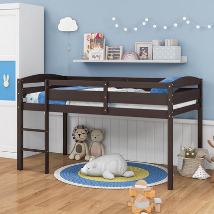 Dreamade Loft Bed with Ladder