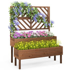 Dreamade Raised Garden Bed with Trellis