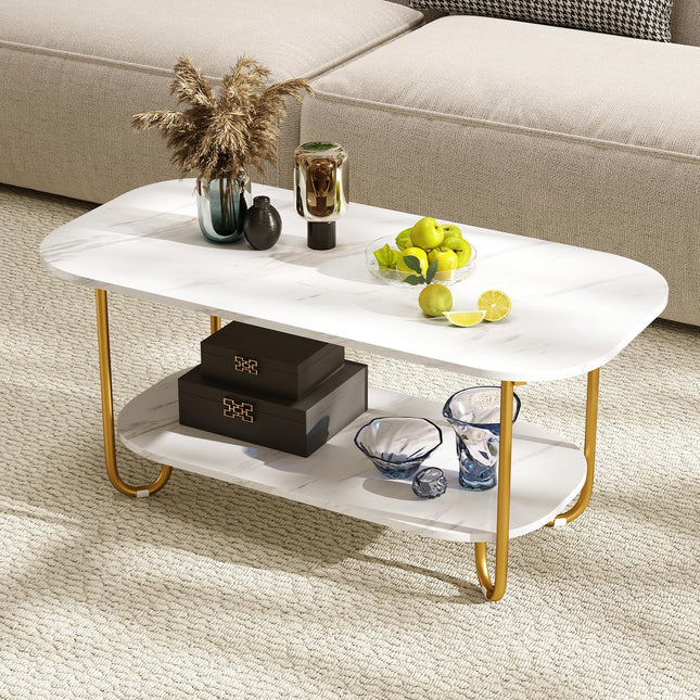 Dreamade 2 Tier Coffee Table with Storage Modern Faux Marble Center Table