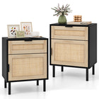 Dreamade Rattan Nightstand Set of 2, Mid Century Modern End Table with Drawer & Cabinet, Sofa Side Table with Sturdy Metal Legs