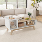 Dreamade 2-Tier Coffee Table with Storage Mid Century Modern Center Table